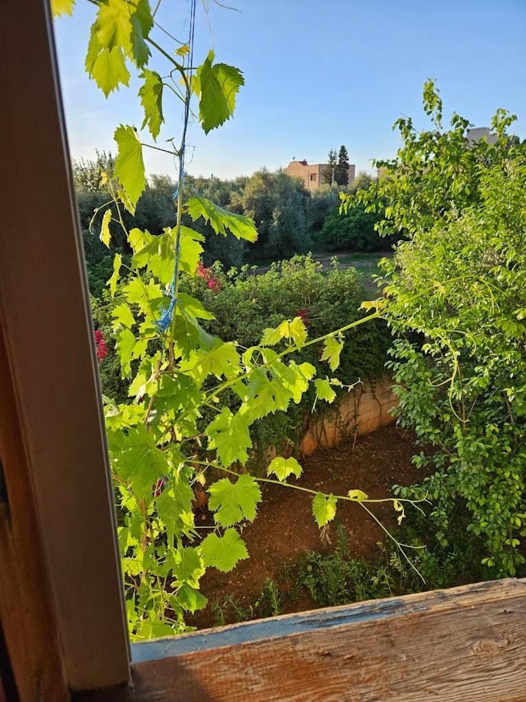 Le Jardin D'Habiba Lägenhet Rhorm el Alem Exteriör bild